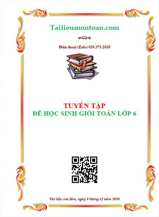 Bộ đề thi học sinh giỏi môn toán lớp 6