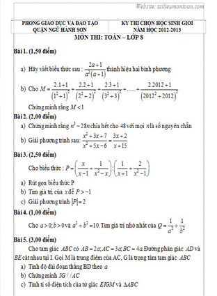 Đề thi học sinh giỏi toán lớp 8 quận Ngũ Hành Sơn năm 2012-2013