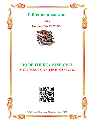 Bộ đề thi học sinh giỏi môn toán lớp 9 cấp tỉnh năm 2022